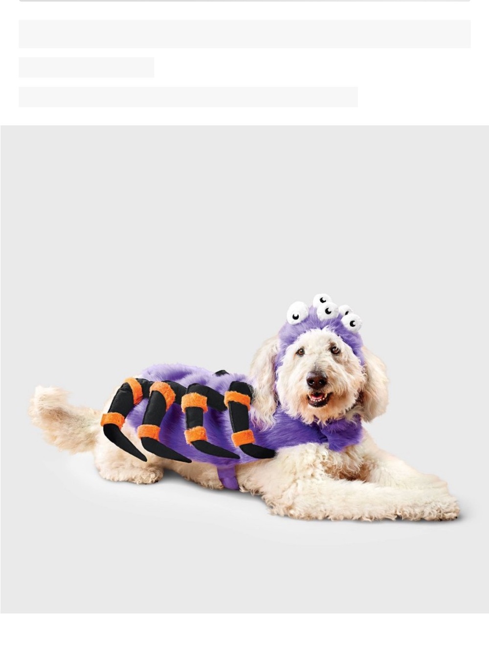 Boots & Barkley Spider Halloween dog Costume size small